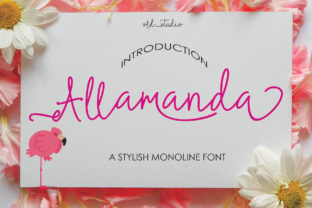 Allamanda: A Modern Handwritten Font for Clean Branding