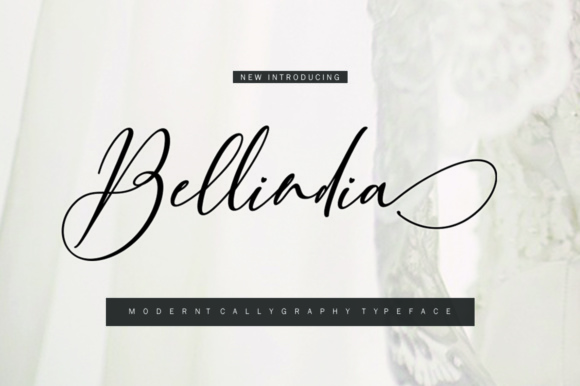 Bellindia: A Designer’s Honest Review for Branding