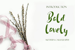 Bold Lovely Font Review for Web Designers