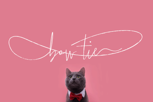 Bow Tie Typeface: Elevate Your Brand Visuals