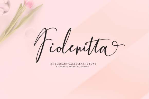 Fiolenitta: A Graceful Script Font for Modern Branding