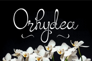 Orhydea: A Script Font That Elevates Brand Identity