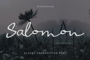 Salomon Font: A Designer’s Review for Campaigns