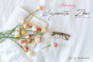 Signarita Zhai: A Designer’s Practical Review